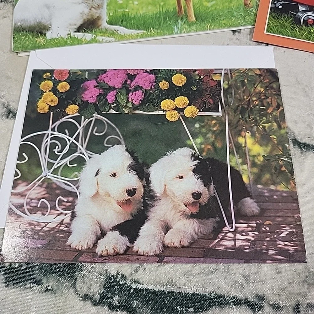 Notecards Blank Inside Greeting Cards Lot Of 7 Pets Puppies Dogs Textured